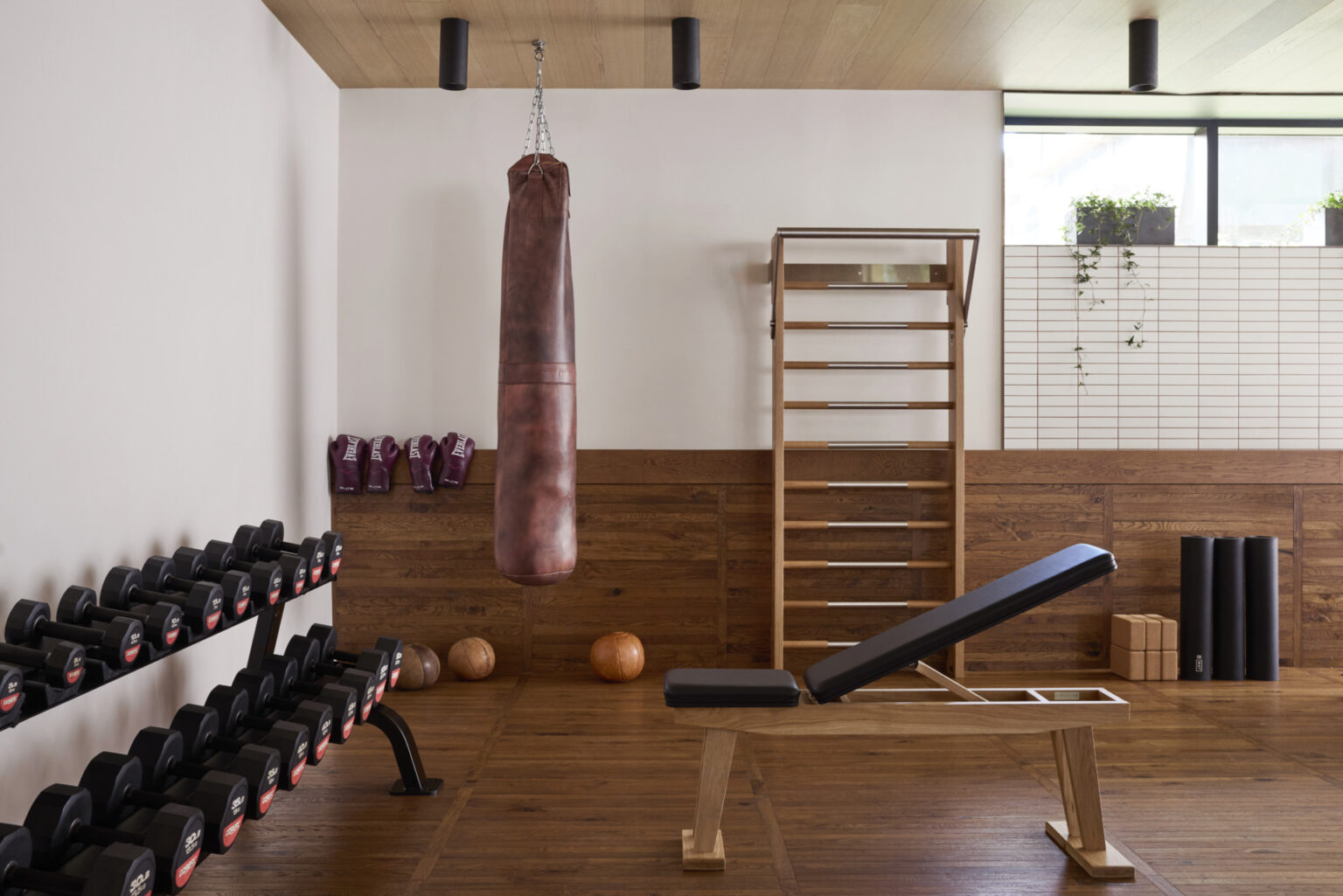 Projects - Paragon Studio | Luxury Gym Equipment